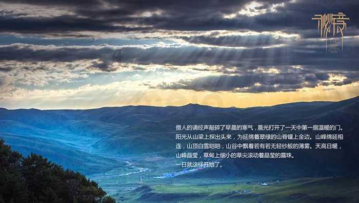 夏日时尚的爱丽